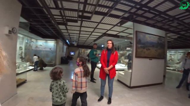 Дарвиновский музей, Москва. Часть 2 смотреть онлайн