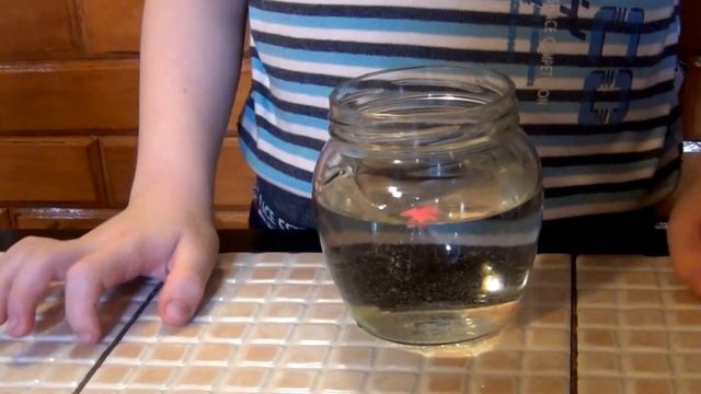 фигурки из гидрогеля Орбиз . figures from the hydrogel Orbis смотреть онлайн