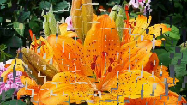 Flowers For The Soul Lily