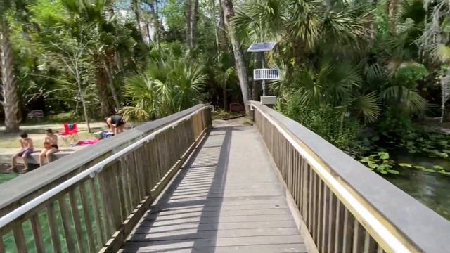 ? БОЛЬШАЯ РУССКАЯ КОМПАНИЯ ? лучший отдых во Флориде ЖИЗНЬ ПРЕКРАСНА Van life motor home 27.02.2021 смотреть онлайн