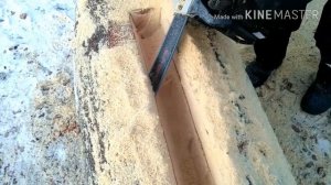 Делаем колоду (борть) для пчел. Часть 1.