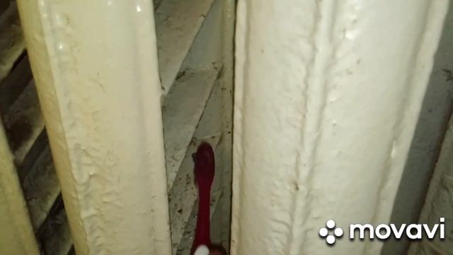 , КАК БЫСТРО ПОМЫТЬ ЧУГУННЫЕ БАТАРЕИ (РАДИАТОРЫ) + БОНУС ! смотреть онлайн