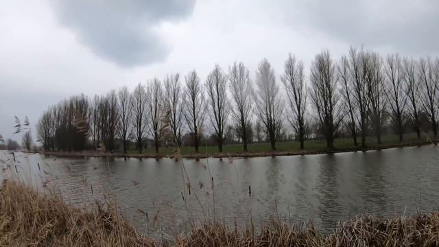 Goose hunting - First geese of 2021 смотреть онлайн