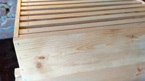 Рогатый улей. Альтернативный корпус.