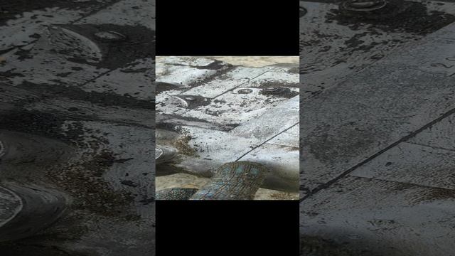 VID_20230908_094312.mp4