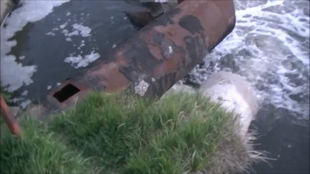 Стоит ли купаться в Москве-реке? / Is it worth swimming in the Moskva River? смотреть онлайн