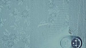 Внутри Лапенко 3. Серия 7