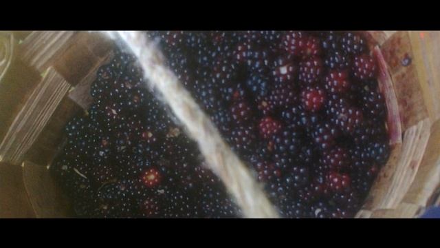 Мазурова Н.Т.(стихи про осень 2017) смотреть онлайн