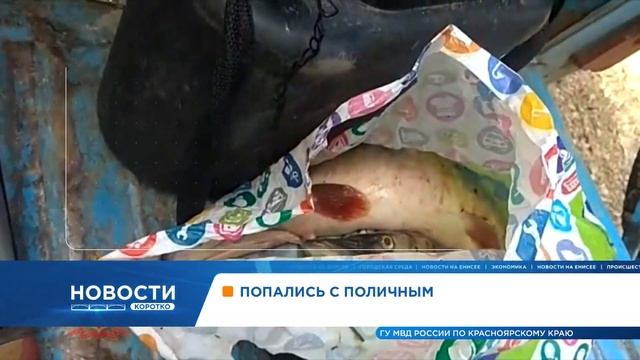 Почта России запустила онлайн-запись в почтовые отделения смотреть онлайн