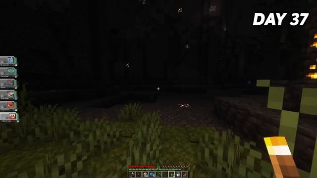 I Spent 100 Days in Minecraft Pokemon... Here's What Happened смотреть онлайн