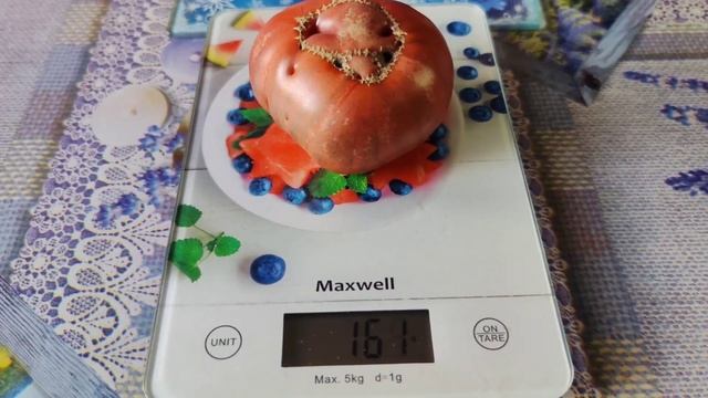 Новинка сезона 2023 - томат Шоколадный пончик. смотреть онлайн