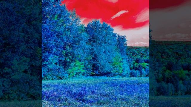 Groovy Backdrops for Classical Agenda смотреть онлайн
