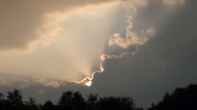 Дорога домой