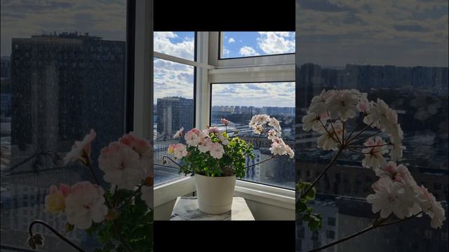 Lara Marjorie. Альбом цветения 2022 смотреть онлайн