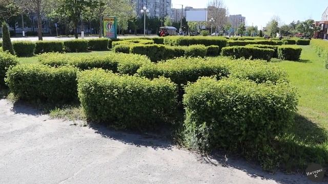 Горишние Плавни ( Комсомольск на Днепре) 2021