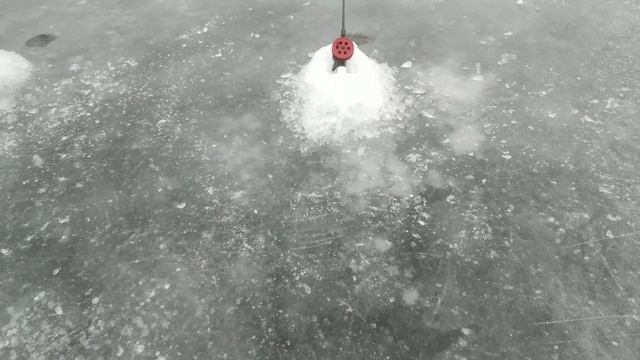 Рыбалка на корюшку, Финский залив, СОТ - старый фарватер в районе форта Обручева, 18.03.2023 г. смотреть онлайн