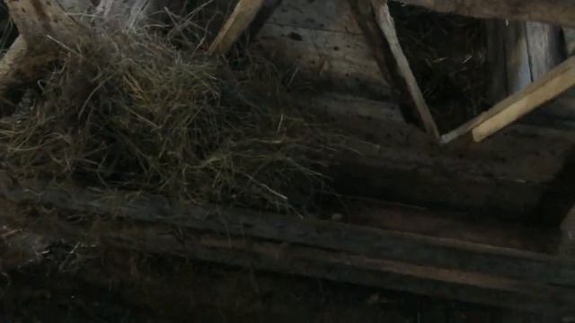 Клетка для новорожденного теленка своими руками. смотреть онлайн