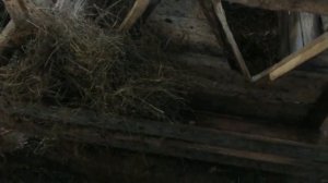 Клетка для новорожденного теленка своими руками.