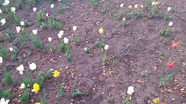 Берегите Берегите эту природную красоту завтра будет солнце 15 мая 19 года смотреть онлайн
