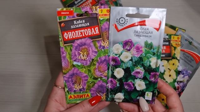 ХОТИТЕ ЗЕЛЁНУЮ СТЕНУ С ЦВЕТАМИ? Просто посейте ЭТИ ЦВЕТЫ! БЕЗ РАССАДЫ! смотреть онлайн