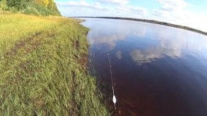 Рыбалка на хариуса в сентябре / Мушки просто выручают / Рыбалка на бомбарду