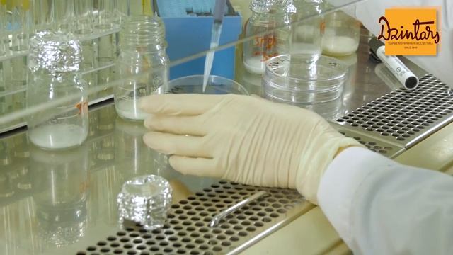 О фабрике Dzintars (Дзинтарс)