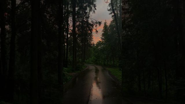 ? Расслабляющая музыка леса, птиц, воды. Музыка для медитации и сна смотреть онлайн