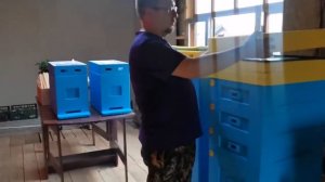 Улья Лысонь первый честный обзор