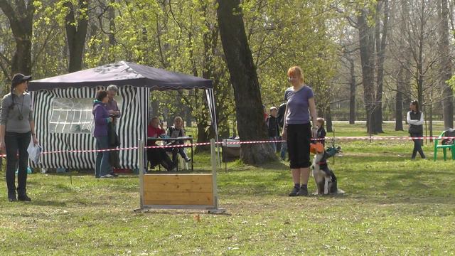 Обидиенс-2. УСКЦ "Останкино" 02.05.2015 г. смотреть онлайн