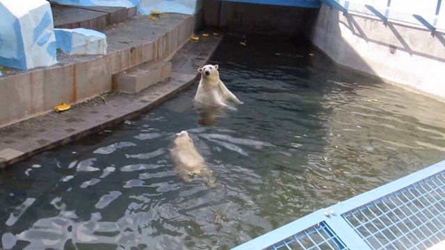 Мне сегодня 9 месяцев! И где подарки? 07.09.16 смотреть онлайн