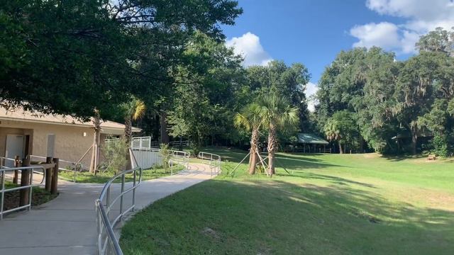 🔴 ЗОЛОТО в джунглях ФЛОРИДЫ 🔴 что посетить RainBow 🌈 Springs Florida USA 30.09.2019 смотреть онлайн