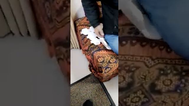 ALMAG-02 Machine    Sam's International