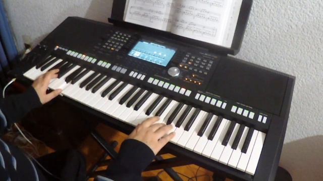 Franz Schubert - Serenade ( Yamaha psr-s 975 ) смотреть онлайн