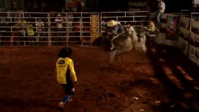 WILSON VIEIRA vs XODÓ DA BULLS смотреть онлайн