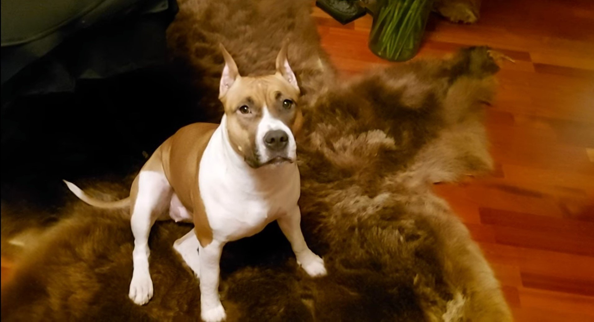 УТРЕННЯЯ ЗЕНА. ВЕДЬМИНА ИЗБА ▶️ ИНГА ХОСРОЕВА. смотреть онлайн