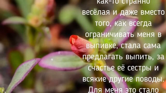 Муж не мог поверить глазам. История из жизни!