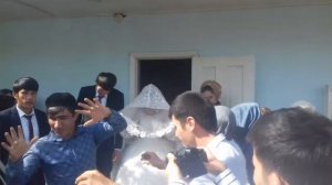 Туй султанобод лакайлар