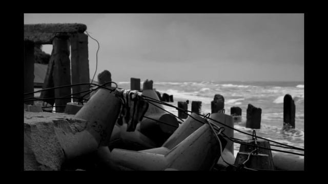 Работы участников документальной секции 11-ой Международной летней киношколы ВГИК смотреть онлайн