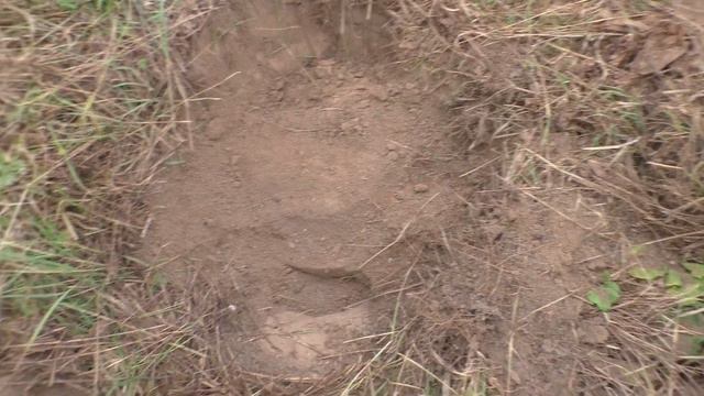 И снова железо под носом!  Плуг на 40 кг! Коп металлолома!