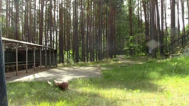 100 берпи за минимальное время. Дебютная попытка. смотреть онлайн