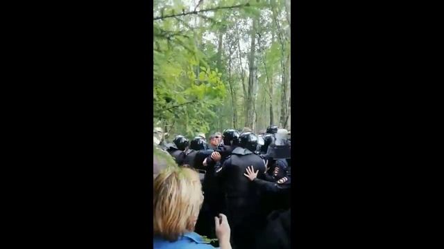 События: Подмосковье. Хартия. Вырубка леса под полигон мусора (переслано Д.Гудковым) смотреть онлайн
