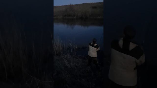 "@romarioagro1350 Жерих смотреть онлайн
