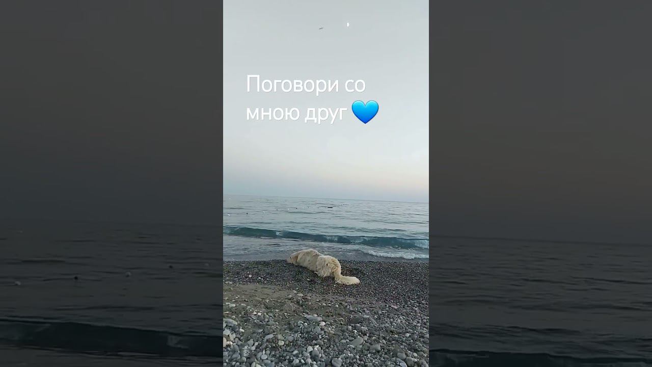 Друг #love #светланаклимовабабичева #shorts #sorts смотреть онлайн