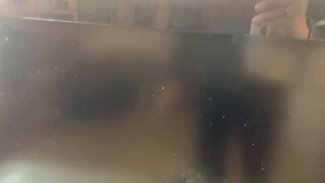 JE TEST LA PUISSANCE DU 357 COLT PYTHON ! ( catastrophique ) смотреть онлайн