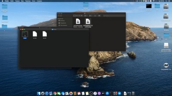 Аккаунт разработчика в Mac OS! Как скачать MacOS 11.0 (10.16) Big Sur?
