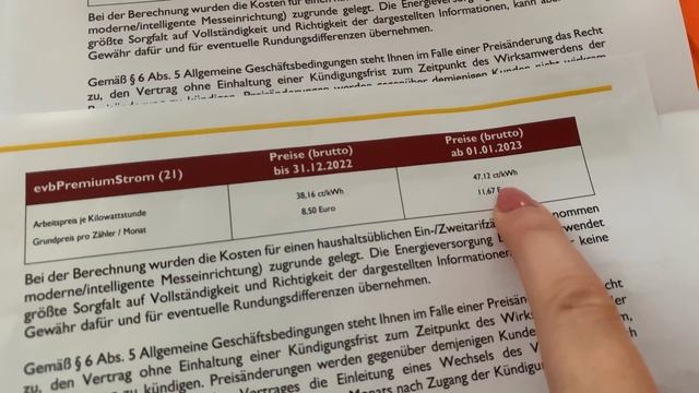 ?Снова повысили оплату за свет! - блогер -это не работа? - ?мои цветы замерзли - Жизнь в Германии