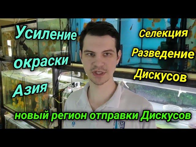 Селекция и разведение Дискусов смотреть онлайн