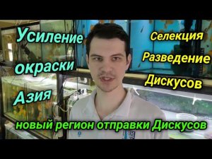 Селекция и разведение Дискусов