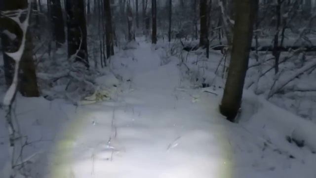 Ночная езда на Мухтаре по просеке смотреть онлайн